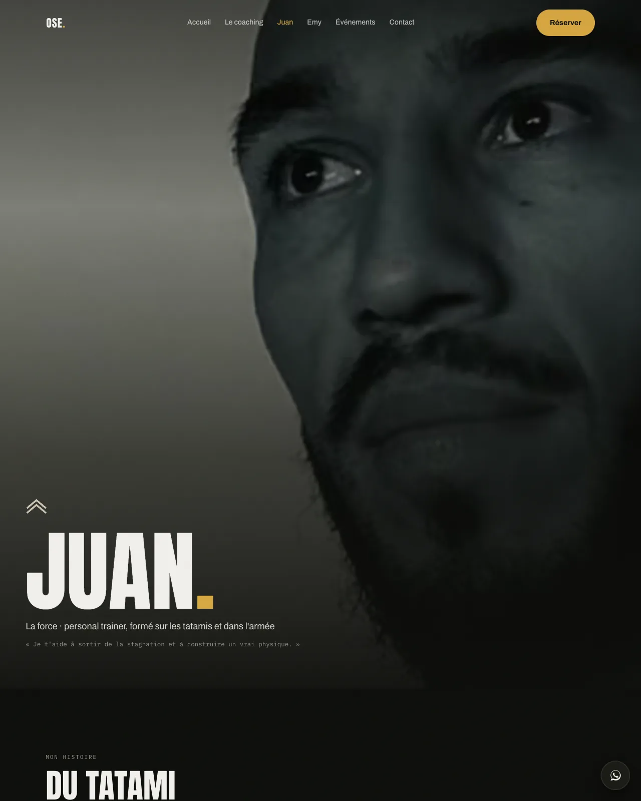La page de Juan. Double chevron d’argent, la force.